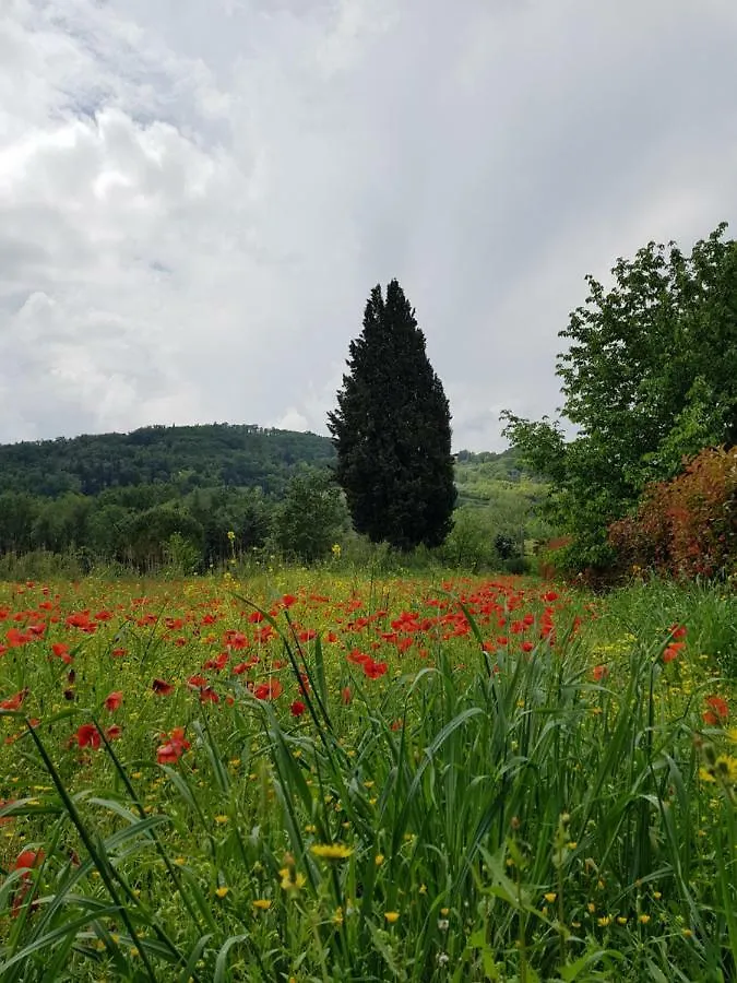 הוילה Tavarnelle Val di Pesa Sweet In Chianti 0*,
